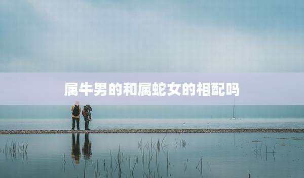 属牛男的和属蛇女的相配吗
