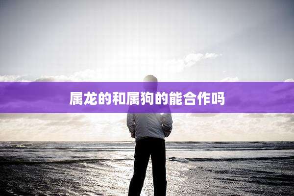 属龙的和属狗的能合作吗
