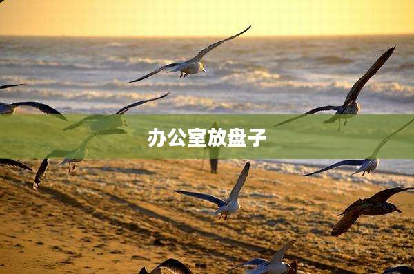 办公室放盘子