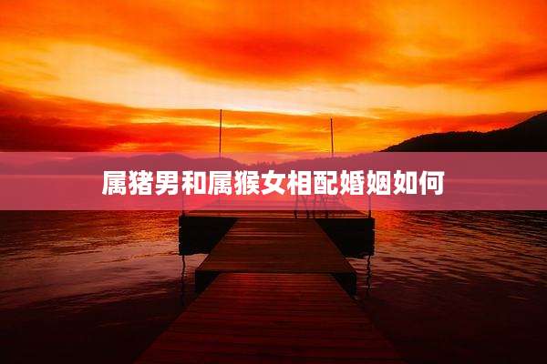 属猪男和属猴女相配婚姻如何
