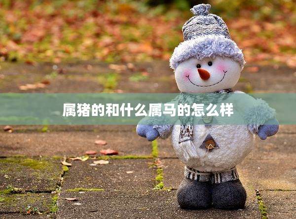 属猪的和什么属马的怎么样