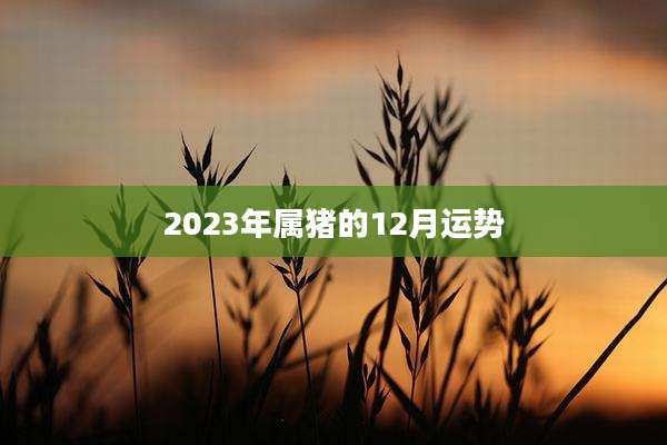 2023年属猪的12月运势