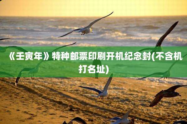 《壬寅年》特种邮票印刷开机纪念封(不含机打名址)