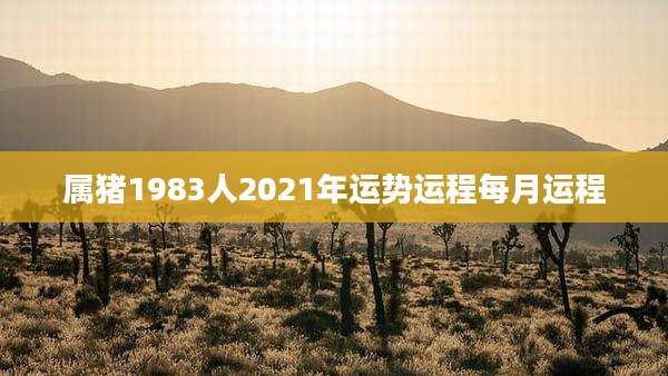 属猪1983人2021年运势运程每月运程