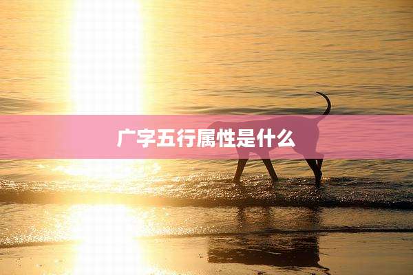广字五行属性是什么