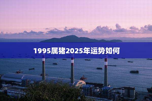 1995属猪2025年运势如何