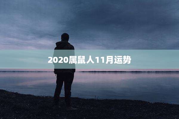 2020属鼠人11月运势