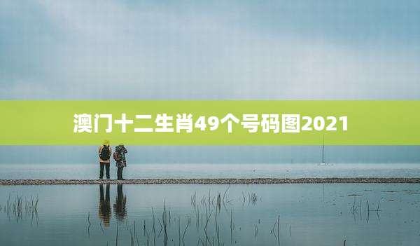 澳门十二生肖49个号码图2021