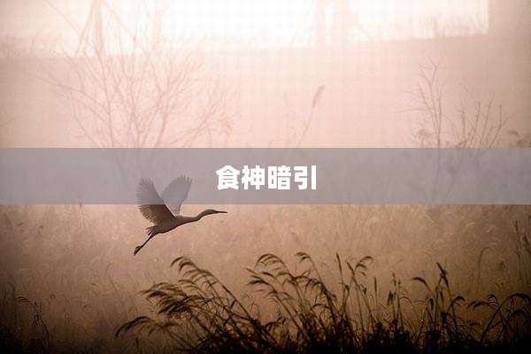 食神暗引