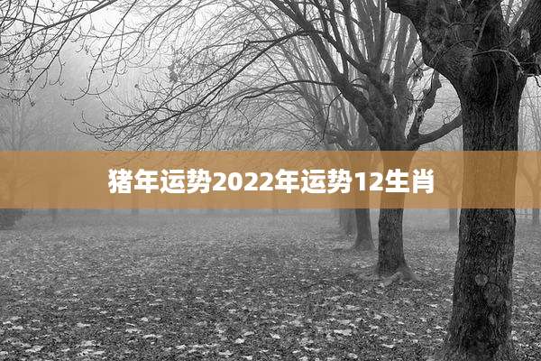 猪年运势2022年运势12生肖