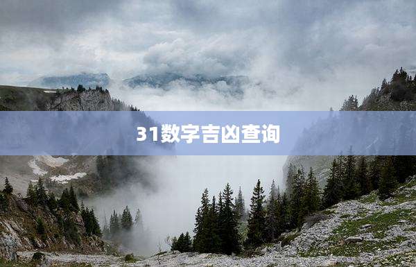 31数字吉凶查询