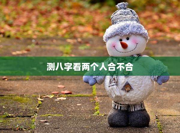 测八字看两个人合不合