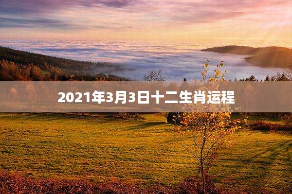 2021年3月3日十二生肖运程