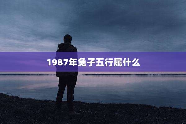 1987年兔子五行属什么