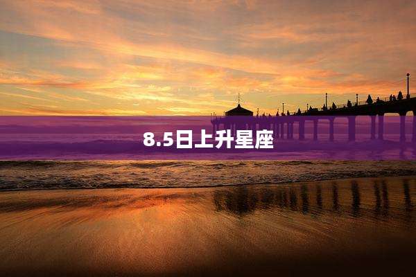8.5日上升星座