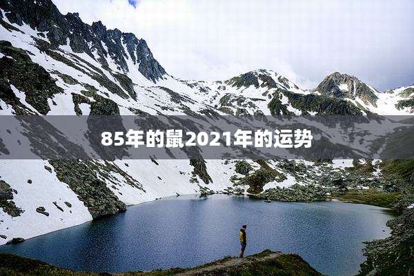 85年的鼠2021年的运势