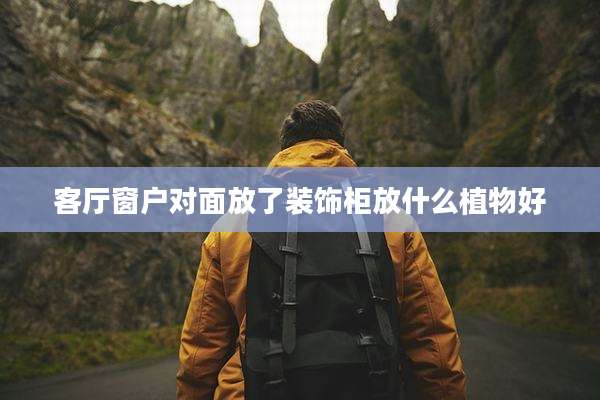 客厅窗户对面放了装饰柜放什么植物好