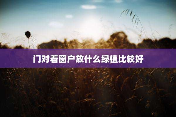 门对着窗户放什么绿植比较好