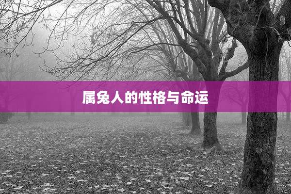 属兔人的性格与命运