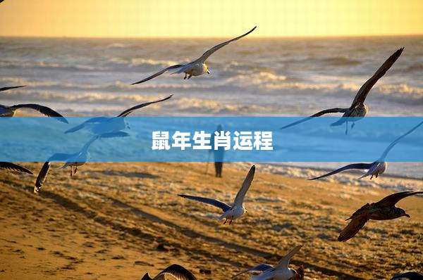 鼠年生肖运程