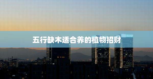 五行缺木适合养的植物招财