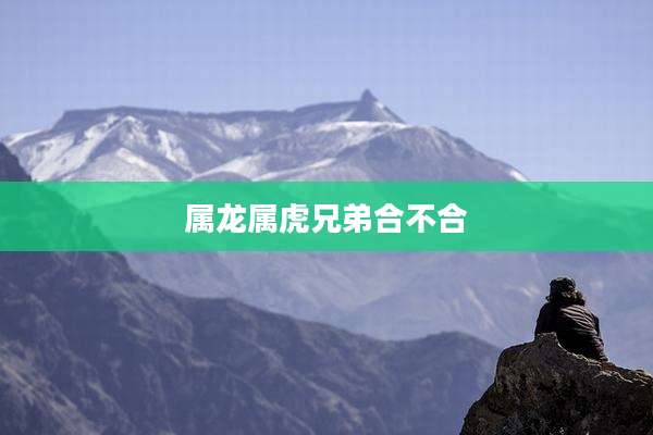 属龙属虎兄弟合不合