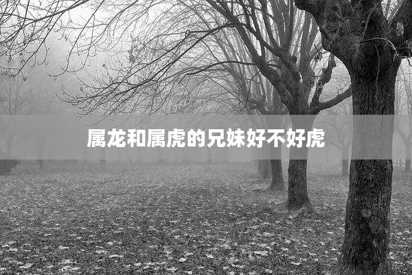 属龙和属虎的兄妹好不好虎