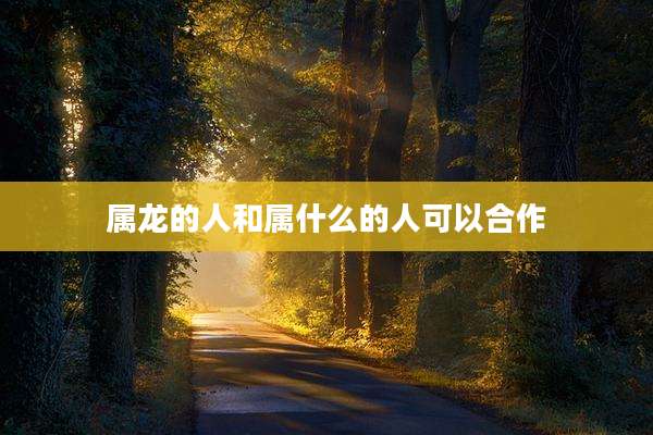 属龙的人和属什么的人可以合作