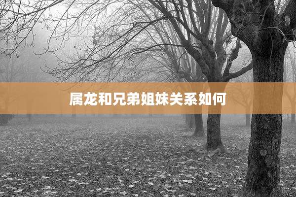 属龙和兄弟姐妹关系如何