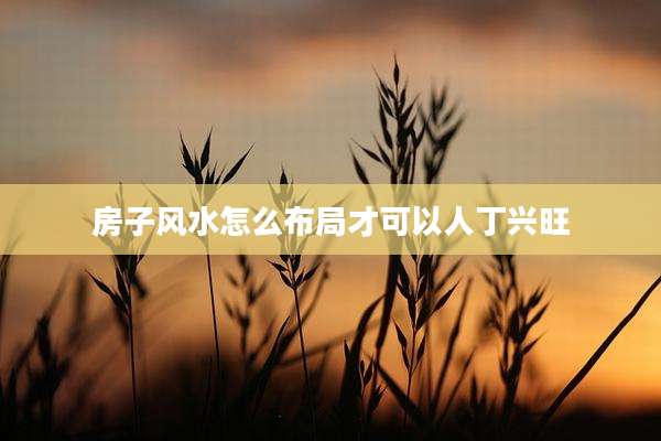 房子风水怎么布局才可以人丁兴旺