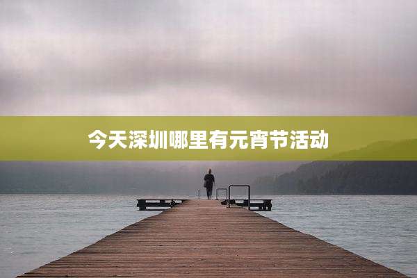 今天深圳哪里有元宵节活动