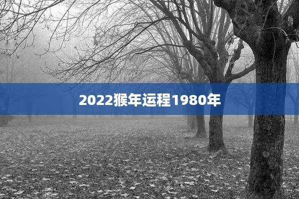 2022猴年运程1980年