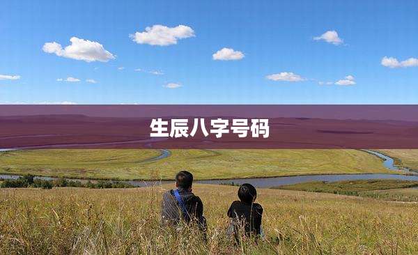 生辰八字号码