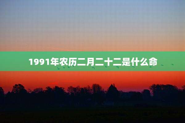 1991年农历二月二十二是什么命