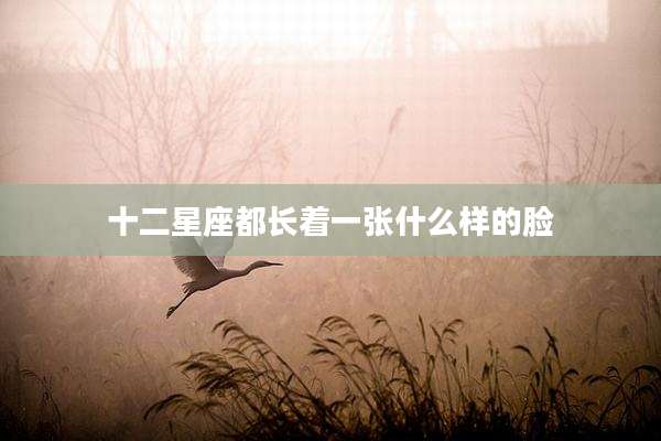 十二星座都长着一张什么样的脸