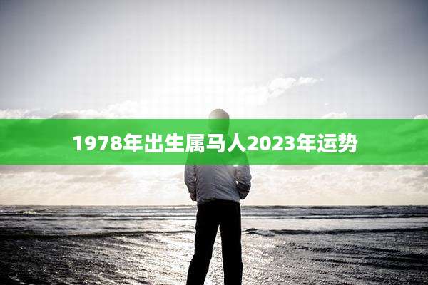 1978年出生属马人2023年运势