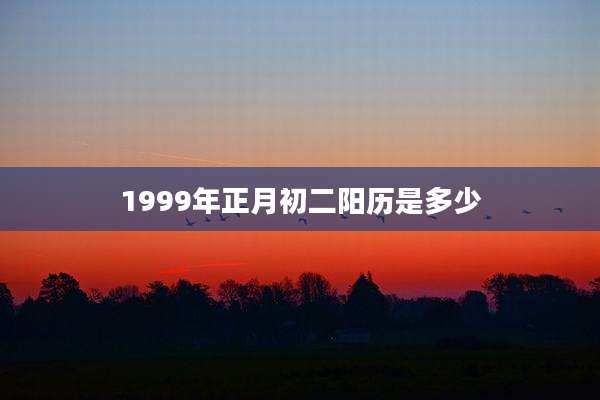 1999年正月初二阳历是多少