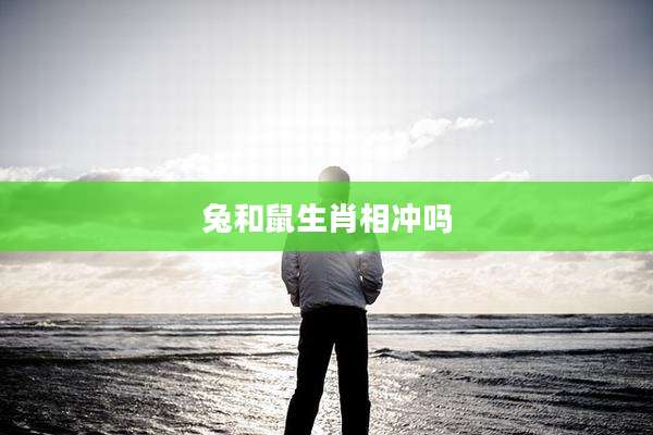 兔和鼠生肖相冲吗