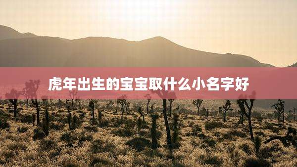 虎年出生的宝宝取什么小名字好