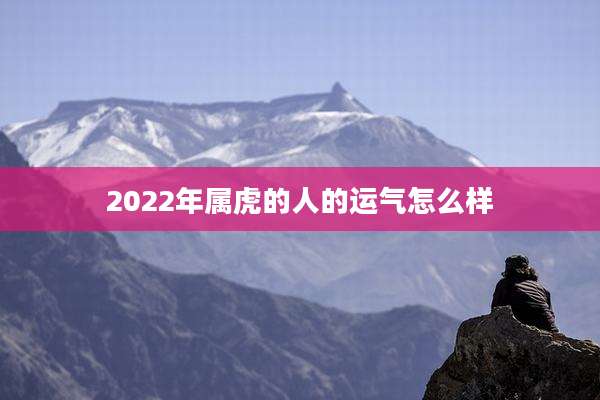 2022年属虎的人的运气怎么样