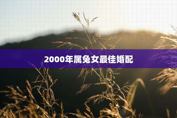2000年属兔女最佳婚配