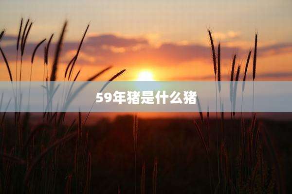 59年猪是什么猪