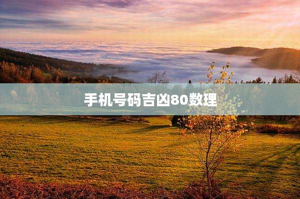 手机号码吉凶80数理
