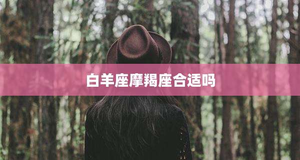 白羊座摩羯座合适吗