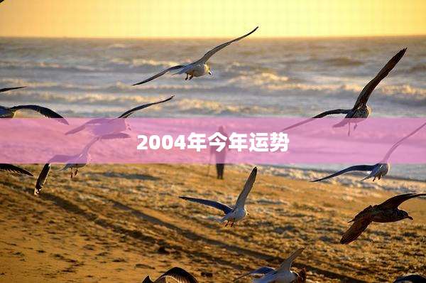 2004年今年运势