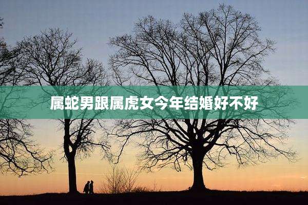 属蛇男跟属虎女今年结婚好不好