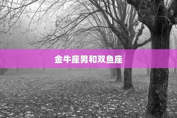 金牛座男和双鱼座