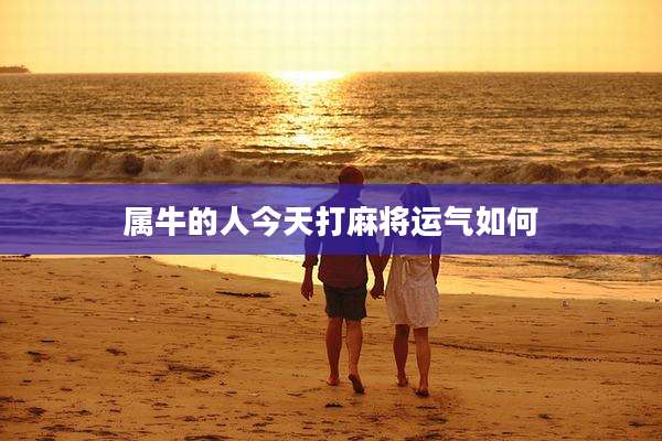 属牛的人今天打麻将运气如何