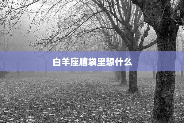 白羊座脑袋里想什么