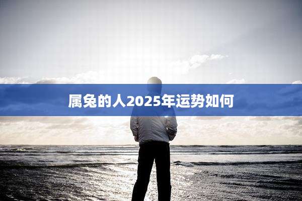 属兔的人2025年运势如何